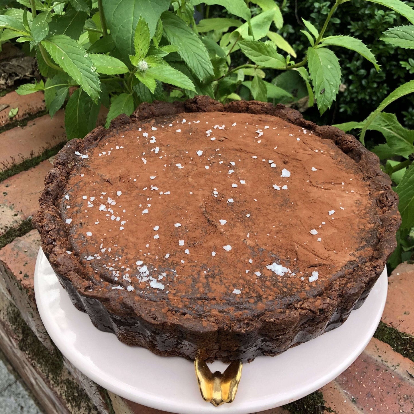 Father's Day Deep Dish Truffle Tart