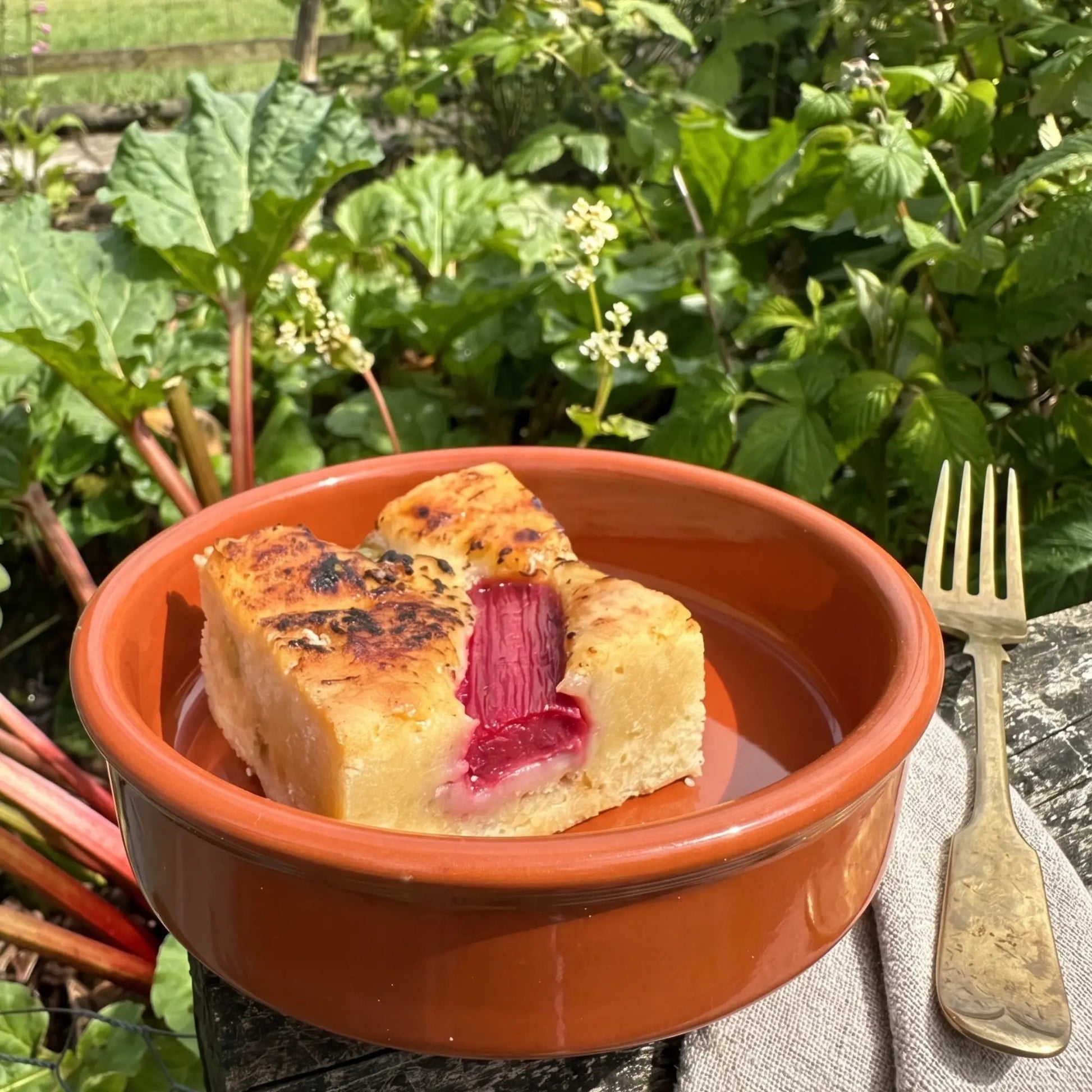Homegrown Rhubarb & Custard Brulee Blondie - Brownie Heaven