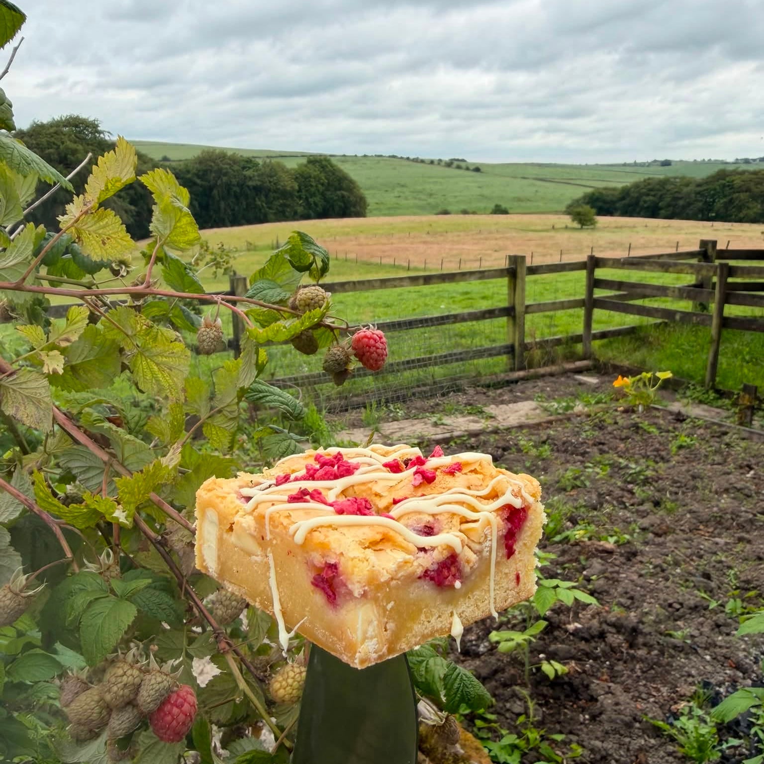 White Chocolate & Raspberry Blondies 🍫🍓 - Brownie Heaven